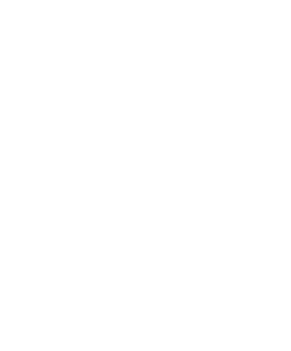 Edouard VI Hotel